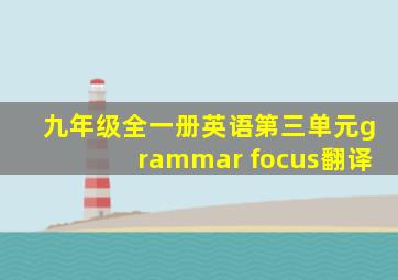 九年级全一册英语第三单元grammar focus翻译